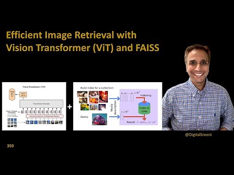 350 - Efficient Image Retrieval with Vision Transformer (ViT) and FAISS