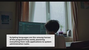 Python and Bash: Powerful Scripting Languages Explained