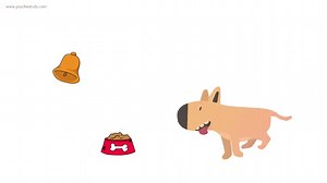 Skinner's theory on Operant Conditioning - Psychestudy