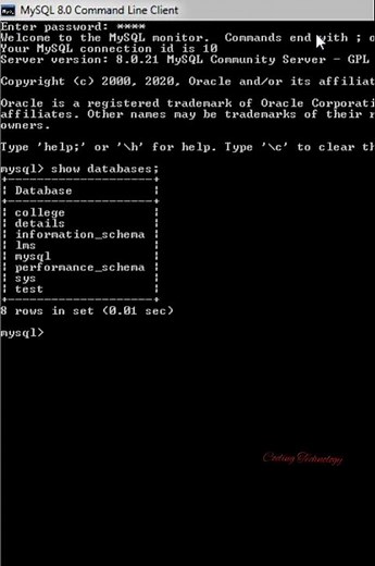 Show databases and tables in MySQL | MySQL | #shorts