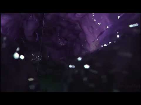 Inside The Stomach Of a Alien