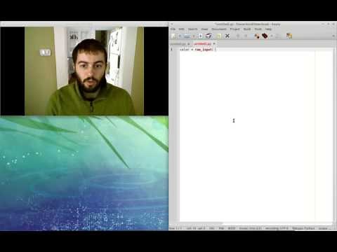 How to Use Python's raw_input Function