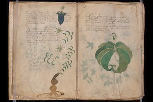 Crazy Russian billionaire believes cigar-shaped comet is alien spacecraft