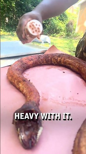 Grilling a python snake! 😮🐍 - 🎥 bernardh14