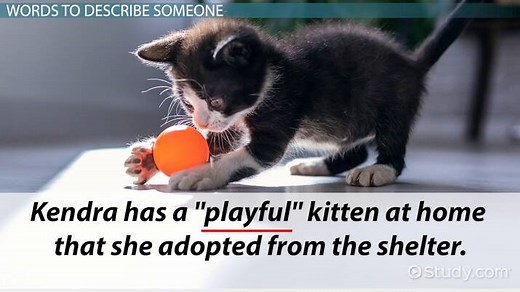 Descriptive Adjective | Definition, Purpose & Examples