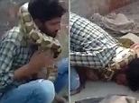 Snake charmer passes out when python strangles him during show