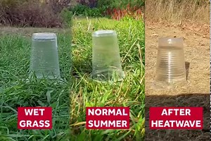 Expérience très intéressante réalisée par l'Université de Reading qui compare la capacité d'absorption du sol selon s'il est humide ou non. Ici, à gauche une herbe mouillée, au centre un sol après un été normal et à droite un sol sec après une sécheresse. Le résultat est sans appel. Vidéo : Twitter Uni of Reading | Météo Languedoc
