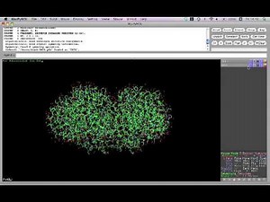 PyMOLを使ってタンパク質の構造を見る