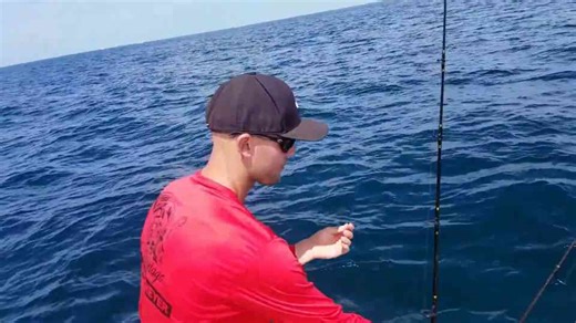 Alien fish gets stuck on my boat