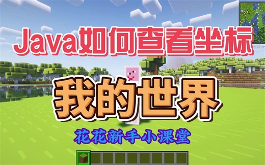 我的世界新手小课堂【java如何查看坐标】