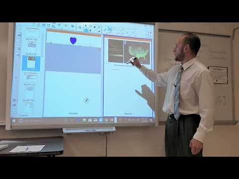 Smartboard Training- Basic Tutorial