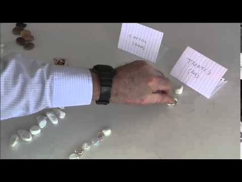 Mike Campbell Blocked and stratified randomisation