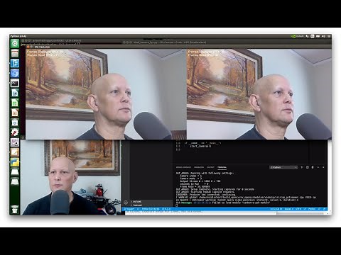 Jetson Nano B01 - Dual RPi Cameras + how to get faster frame rates