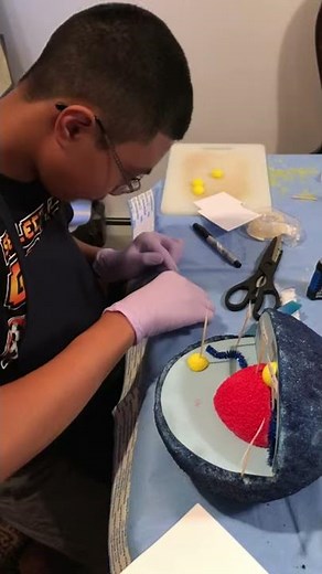 Making 3D Animal Cell Model Science Project