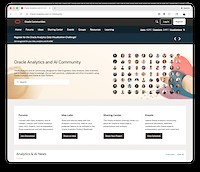 Custom Script in Data Visualization Desktop