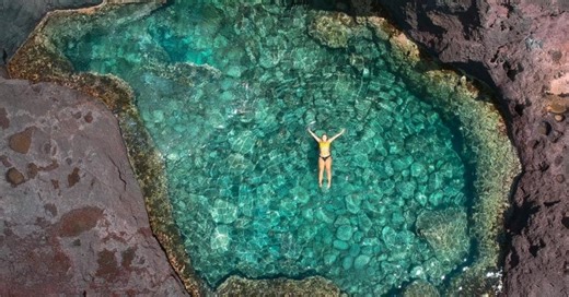 What will you learn with MIT OpenCourseWare? | Open Learning