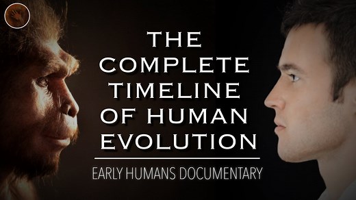 Exploring The Origins Of Humanity: A Complete Timeline of Human Evolution