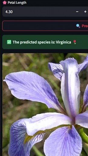 This AI can guess a flower’s species in less than 1 second🌸🤯 |#ml #AI #PythonProjects #Shorts #viral