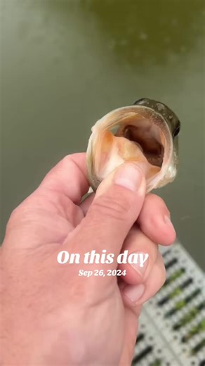 Celebrate On This Day: Large Mouth Catching Moments