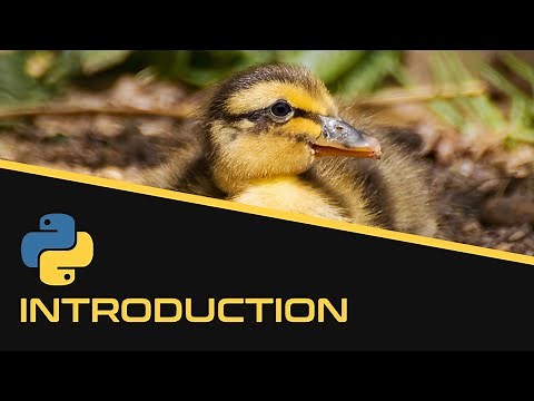 Introduction | Python - EP1