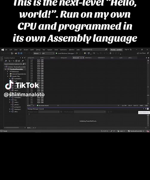 Next-Level Hello World Program on Custom CPU