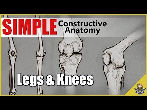 How to Draw Legs & Knees - Simplified Constructive Anatomy - Art Tutorial