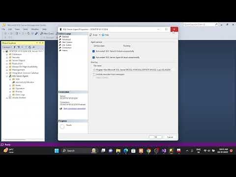 Problem : How to Start and Stop Sql Server Agent?