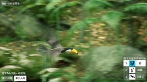 ANIMAL VISION SIMULATOR - Different Perspectives by LUJIAFAN