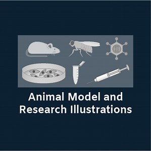 Science Drawings: Research Tools, Animals & Cell Types