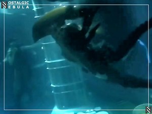 Special effects master Tom Woodruf Jr. performed in full Xenomorph suit UNDER WATER for Alien Resurrection, released 26 years ago on this day in 1997! 🎥 Alien Resurrection (1997) 🎬 Jean-Pierre Jeunet 🎥 Sigourney Weaver, Winona Ryder, Dominique Pinon, Ron Perlman, Gary Dourdan, Michael Wincott, Kim Flowers, Dan Hedaya, J.E. Freeman, Brad Dourif, Raymond Cruz, Leland Orser 🎵 John Frizzell | Nostalgic Nebula