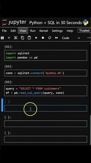 Run SQL Queries with Python Like a Pro — Beginner’s Guide #dataanalytics #dataanlysis #exceltips