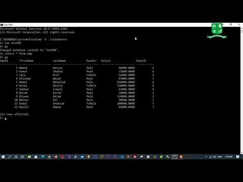 How to use sql in command prompt || Connect to Sql Server through Command Prompt || Ms Sql