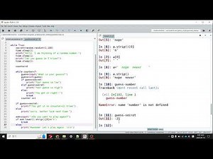 Python Programming Lecture 5: Use of flags, How to read a file
