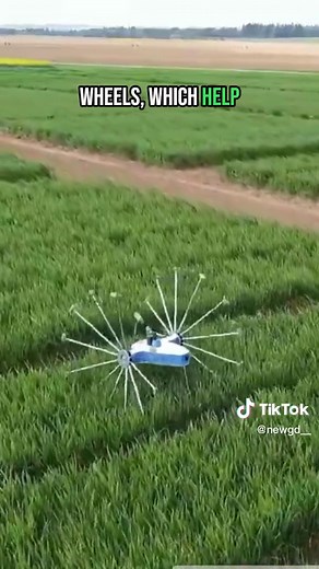 SentiV: Autonomous Agricultural Robot for Crop Inspection