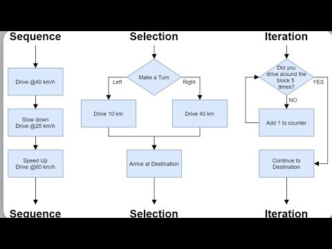 Control Structures: If-Else, Switch, and While Loops Explained