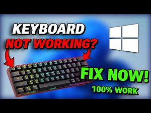 🔄 How to Update Keyboard Drivers in Windows 11