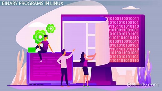 Executing Binary Programs & Shell Scripts in Linux