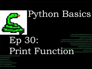 Python Basics Print function