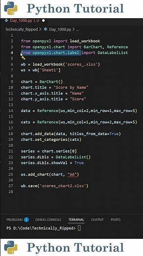 Customizing Excel Chart Data Labels With Openpyxl | Python Tutorial