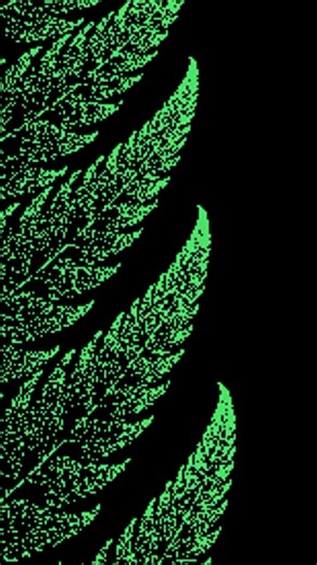 The Barnsley fern is a fascinating example of a fractal image created by repeated mathematical transformations. Named after mathematician Michael Barnsley, this fern shows how complex and lifelike structures can be created through simple, iterative processes alone. The Barnsley fern consists of a series of transformations applied repeatedly to points in a coordinate system. The result is an image that looks amazingly realistic, replicating the shape of a fern. The elegance of the Barnsley fern l