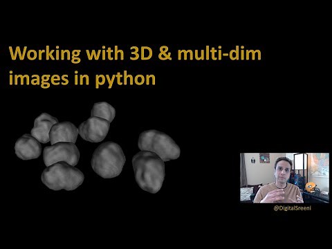 192 - Working with 3D and multi-dimensional images in python