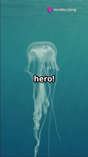 Box Jellyfish: The Ocean’s Alien Assassin!