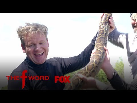 Gordon And Jack Ramsay Hunt For A Burmese Python | Season 1 Ep. 8 | THE F WORD