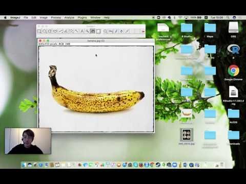ImageJ 3 - Measuring colors