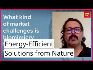 What is biomimicry, and how can nature inspire sustainable design