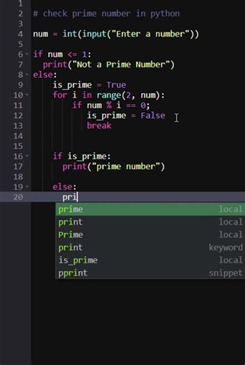 Prime Number Program in Python | Easy Logic