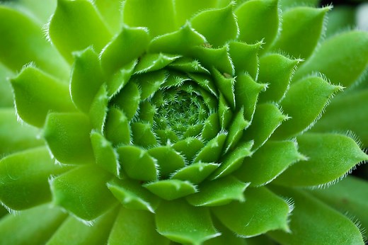 What is a pattern? - Pattern - AQA - GCSE Art and Design Revision - AQA - BBC Bitesize