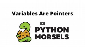Variables are pointers in Python