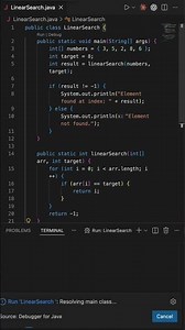 Linear Search Algorithm Explained | Easy Step-by-Step Tutorial