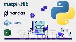 Certificate Program in Python Programming